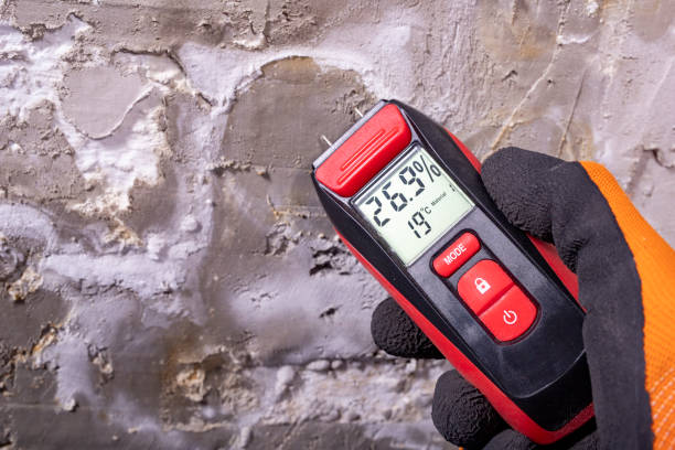 Best Attic Mold Removal  in Altamont, NY